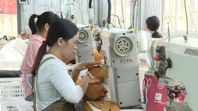 普定县韭黄村：小厂扎根农家院 增收惠及众乡邻