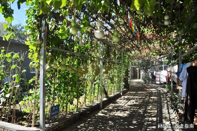 双缘敬老院咨询热线月价格更新动态位置路线规划